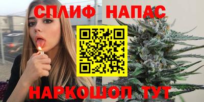 молекула духа Донецк