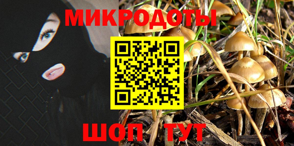 Галлюциногенные грибы прущие грибы  Псилоцибиновые грибы Cubensis  Кунгур  Вход с VPN 